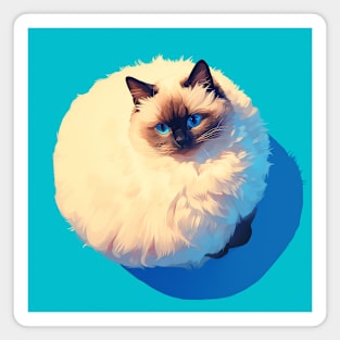 Blue Gaze Fluff: Ragdoll Serenity Magnet